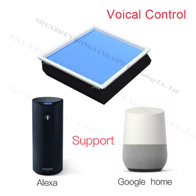 ซื้อ 295mm Highness Customizable Acrylic Light Guide Panel for Custom Requirements การผลิตออนไลน์