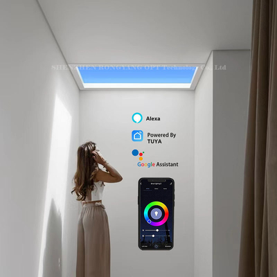 ซื้อ หน้าต่าง Daylight ประดิษฐ์ไร้สาย 110V 30 องศา Multiscene การผลิตออนไลน์