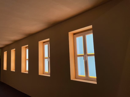 ซื้อ แอปควบคุมเสียง Smart Skylight แอปควบคุมเสียง RGB สําหรับแสงอาทิตย์ธรรมชาติและการสร้างท้องฟ้าสีฟ้าที่ไม่ยุ่งยาก 160W การผลิตออนไลน์
