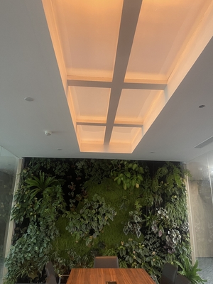ซื้อ Rectangle Faux Skylight Panels 220mm Highness Customizable Solutions การผลิตออนไลน์