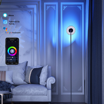 มุมหลอดไฟ DC 24V RGB หลายฉาก, โคมไฟตั้งพื้นคำสั่งเสียง LED RGB