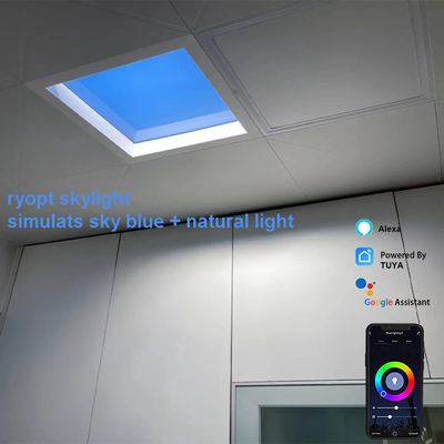 ปัจจัยพลังงาน 0.9 LED แผนไฟเพดานสําหรับบ้าน โคมไฟบําบัดสําหรับผู้สูงอายุและเด็ก